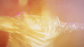 Young The Giant GIF