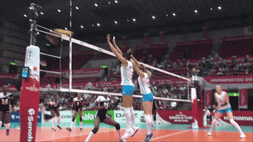 Argentina Dive GIF by Volleyball World