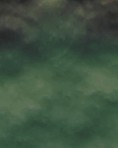From Above Ocean GIF by Chris