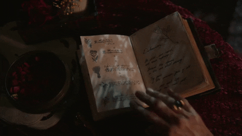 magickal book either a grimoire of a book of shadows being closed