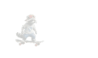 Skate Event Sticker by ThatsKnorke