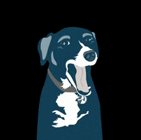 empressavenuemedia GIF