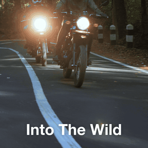 Motorcycle GIF by Kawasaki Motors