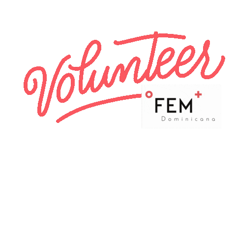 FEM Dominicana Sticker