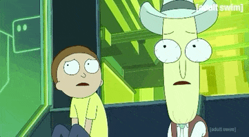 Season 4 Episode 3 GIF by Rick and Morty