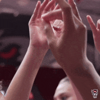 Wolfpack Ncstatevolleyball GIF by NC State Athletics