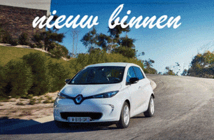 GIF by hansjongerius