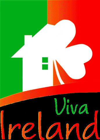 Dublin Cork GIF by Viva Ireland