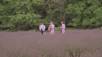 Ajr Brothers GIF by AJR