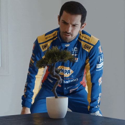 Indy 500 Waiting GIF by NAPA KNOW HOW