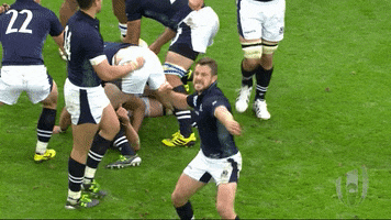 Excited World Cup GIF by World Rugby