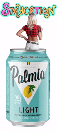 Party Drinking GIF by Palmia Beer