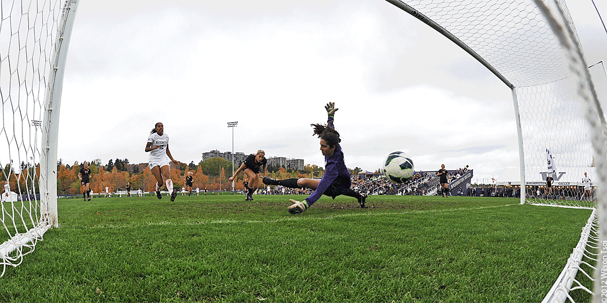 Goal GIF Find & Share on GIPHY