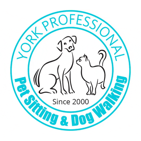 York Professional Pet Sitting and Dog Walking GIF