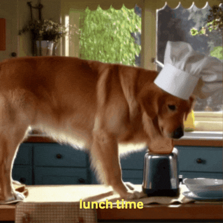 Lunch GIF