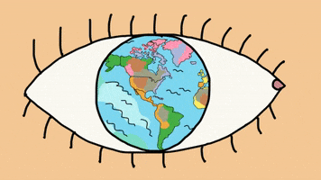 GIF by camilescruela