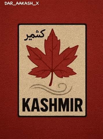 Maple Kashmir GIF