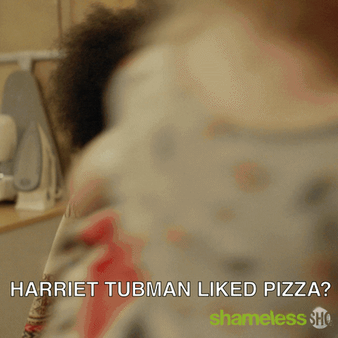 Episode 1 Showtime GIF by Shameless