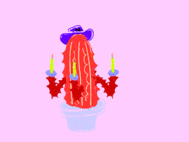 Cactus GIF by DADA WESTERN THE DESTROYER