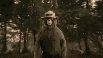 Smoky The Bear GIFs - Get the best GIF on GIPHY