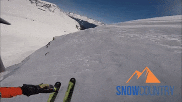 Snowcountry.eu GIF