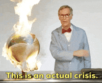 Bill-nye-reaction GIFs - Get the best GIF on GIPHY Bill-nye-reaction GIFs - Get the best GIF on GIPHY
