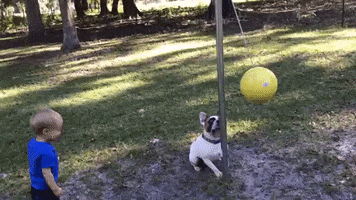 Tetherball GIF
