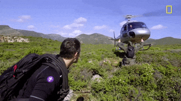 Bear Grylls GIF by National Geographic Channel