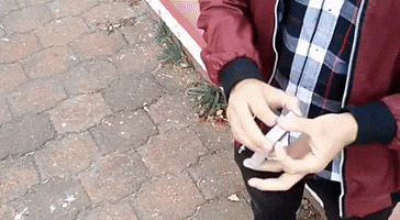 Animated GIF