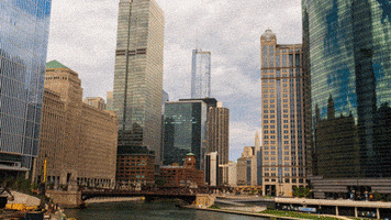 Chicago Bears City GIF by Matthew Butler