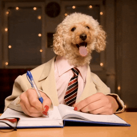Dog Trend GIF