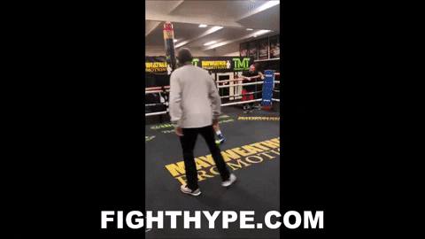 Boxing GIF