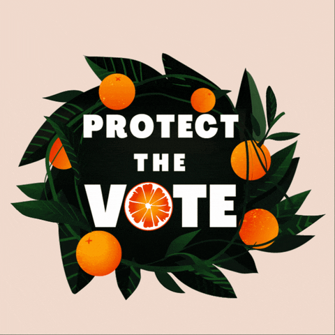 Voting Rights Orange GIF by Creative Courage