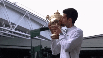 Novak Djokovic Sport GIF by Wimbledon