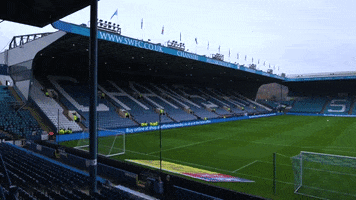 Goals Stadium GIF by Sheffield Wednesday Football Club