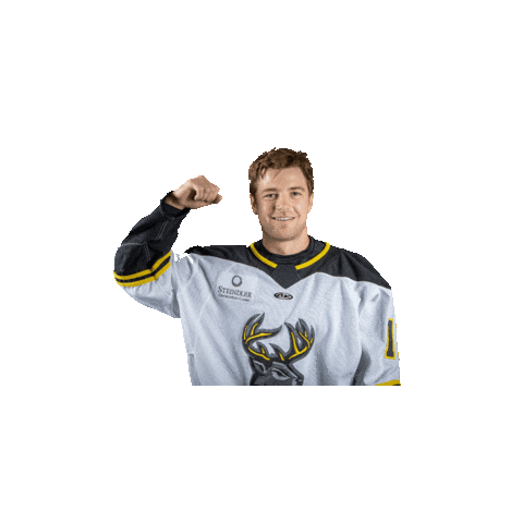 goheartlanders Sticker