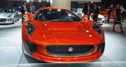 jaguar