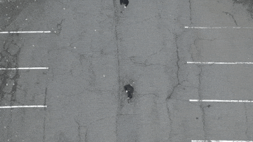 Internal Organs Shotgun GIF