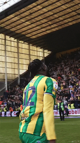 West Brom Wba GIF by West Bromwich Albion