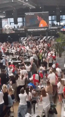 Celebrating World Cup GIF by Storyful