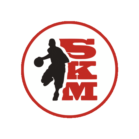 Basketball Lithuania Sticker by SKM Vilnius