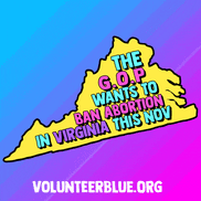 The GOP wants to ban abortion this November Virginia