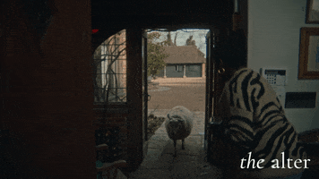 200.gif?cid=fc005b08da66388331df5e49b35ae80d6b3528a3d7f3a784&rid=200.gif&ct=g