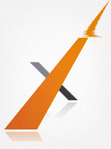 exsolut GIF
