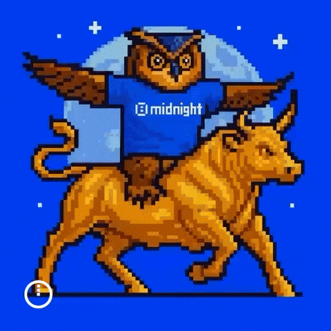 Midnight GIF