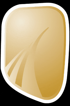 Gold Award GIF by Gaisce - The President's Award