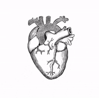 Heart GIF