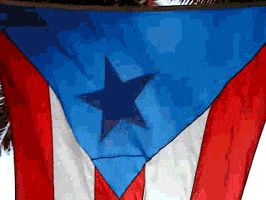 puerto rico flag GIF