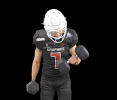 Football Nfl GIF by Les Dauphins de Nice