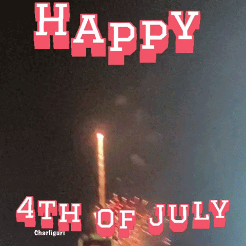 Happy Independence Day GIF by Charli Gurl